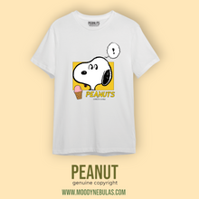 ICE-CREAM time with Snoopy - ALINDA DECOR