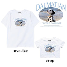 DALMATIAN By. Resign Studio