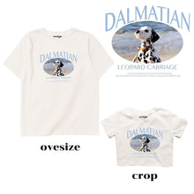 DALMATIAN By. Resign Studio