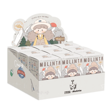 Finding Unicorn Molinta Camping Vlog Series Blind Box Toys Cute Action Anime Figure Kawaii Mystery Box Model Designer Doll Gift - ALINDA DECOR