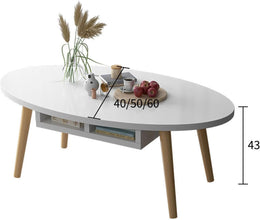 Side Table Oval Coffee Table, End Side Table, with Table Bucket, for Living Room Central Table,A,80 * 40 * 43cm(Size:120 * 60 * 43cm,Color:C) - ALINDA DECOR